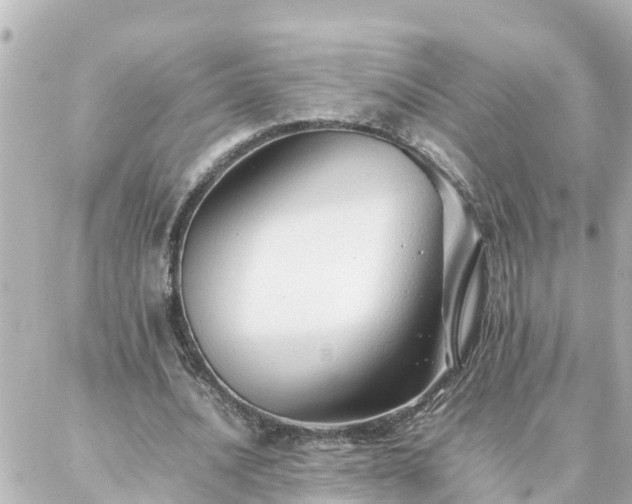 X0000086990628200704231846