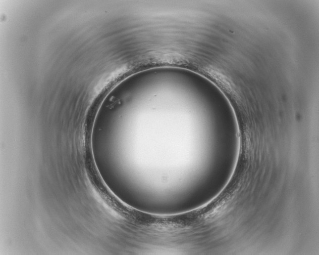 X0000086990630200704231846