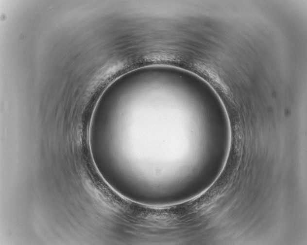 X0000086990631200704231846