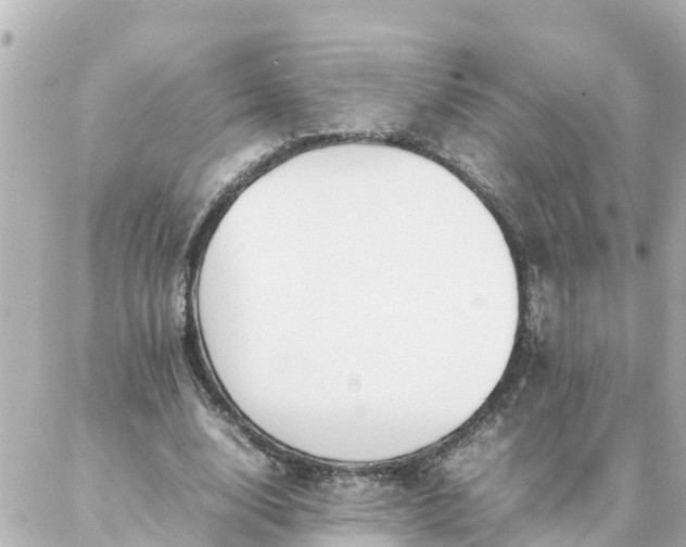 X0000086990632200704231846