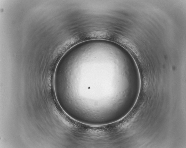 X0000086990633200704231846