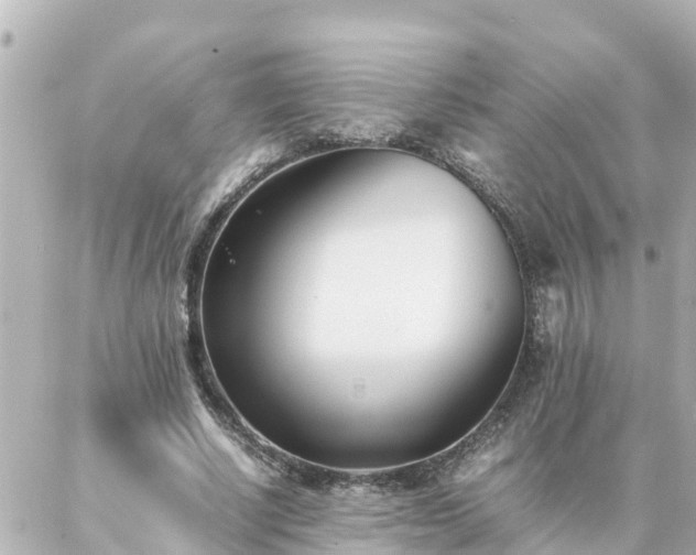 X0000086990634200704231846