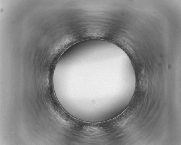 X0000086990635200704231846