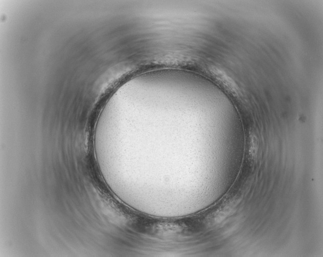 X0000086990636200704231846