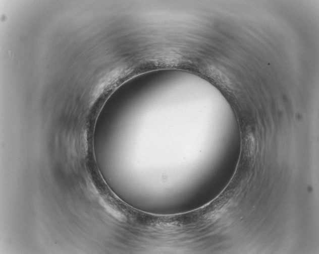 X0000086990638200704231846