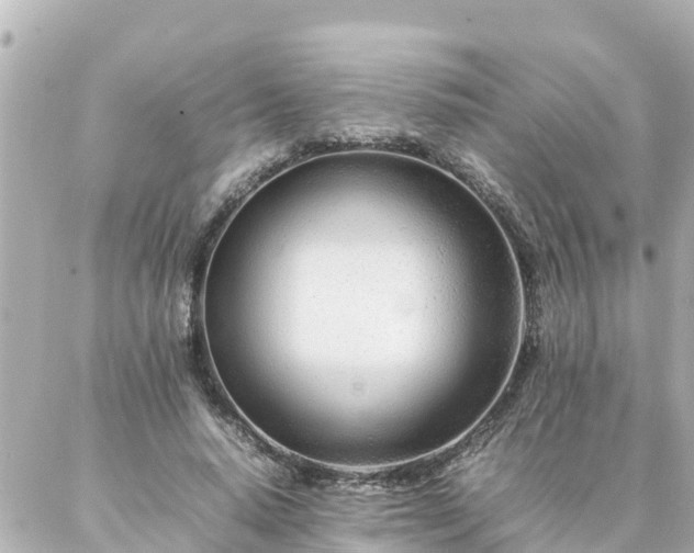 X0000086990640200704231846