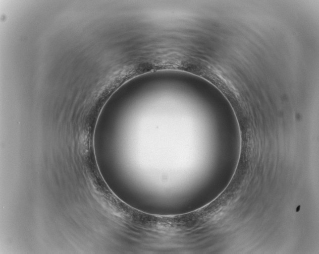 X0000086990641200704231846