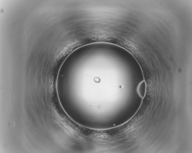 X0000086990642200704231846