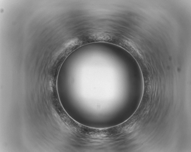 X0000086990643200704231846