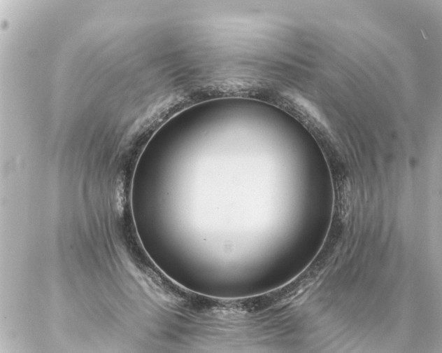 X0000086990644200704231846