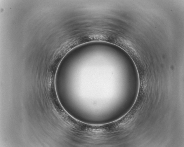 X0000086990645200704231846