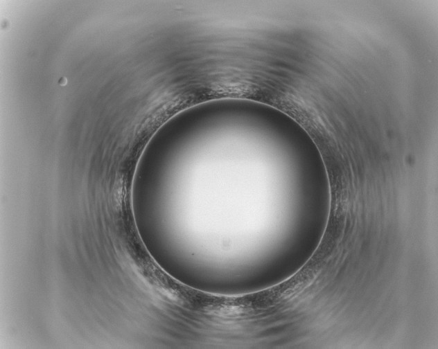 X0000086990647200704231846