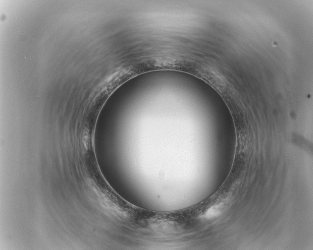 X0000086990648200704231846