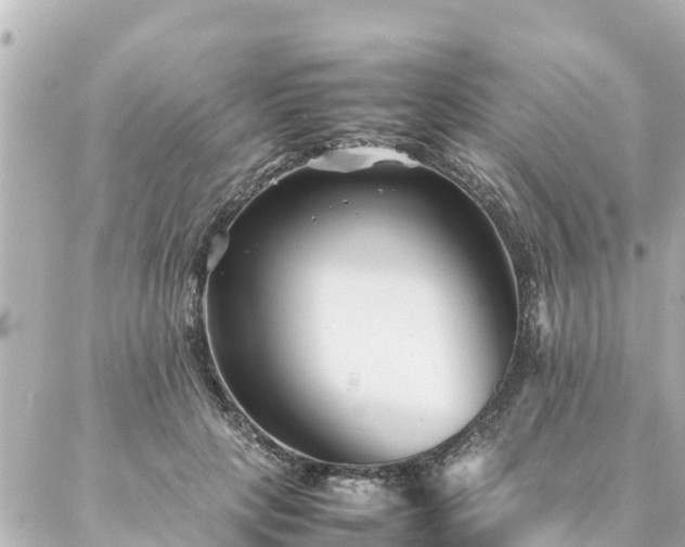 X0000086990649200704231846