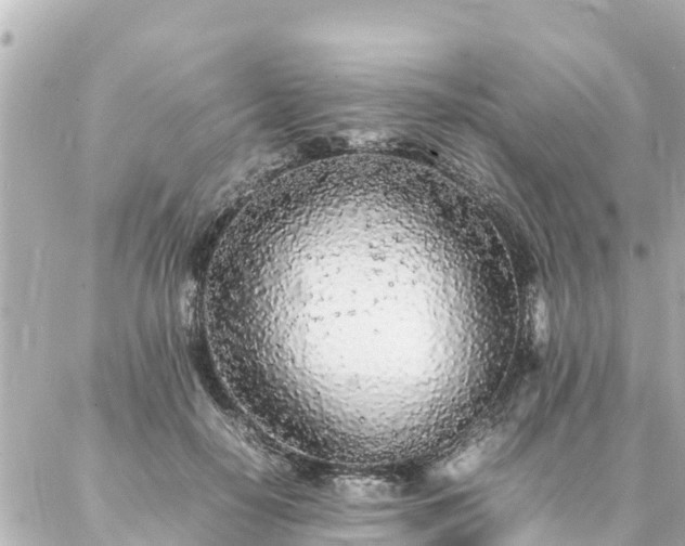 X0000086990650200704231846