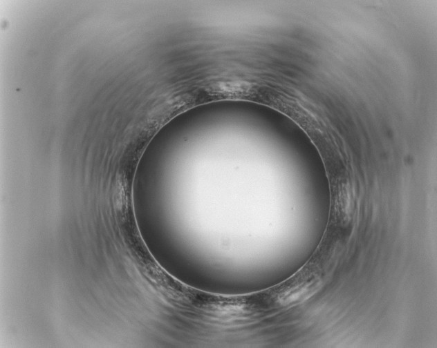 X0000086990651200704231846