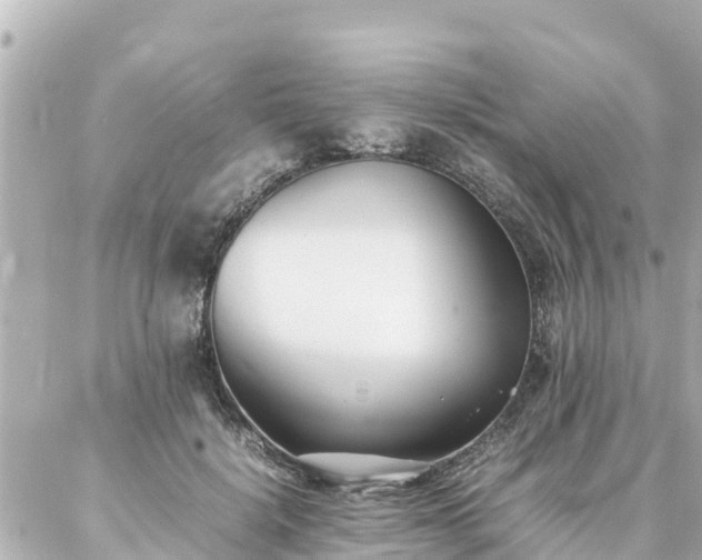 X0000086990652200704231846