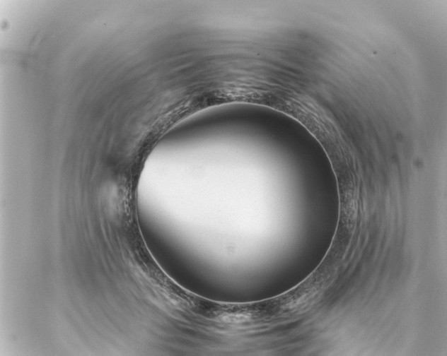 X0000086990653200704231846