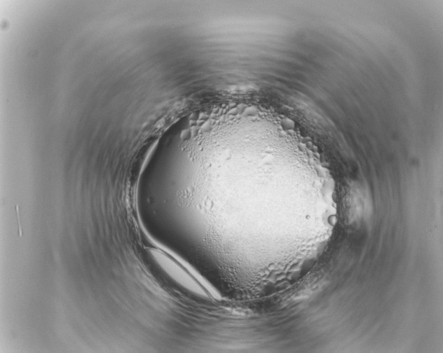 X0000086990654200704231846