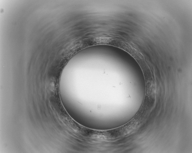 X0000086990655200704231846