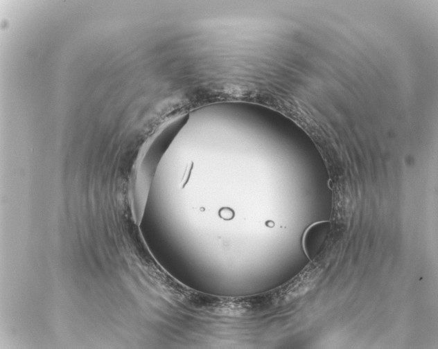 X0000086990656200704231846