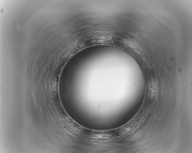 X0000086990657200704231846