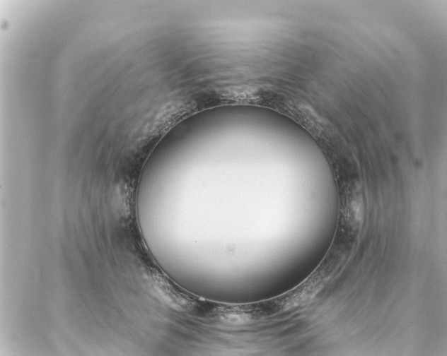 X0000086990658200704231846