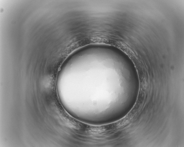 X0000086990659200704231846