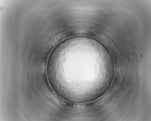 X0000086990660200704231846