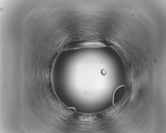 X0000086990661200704231846