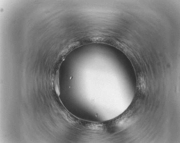 X0000086990664200704231846