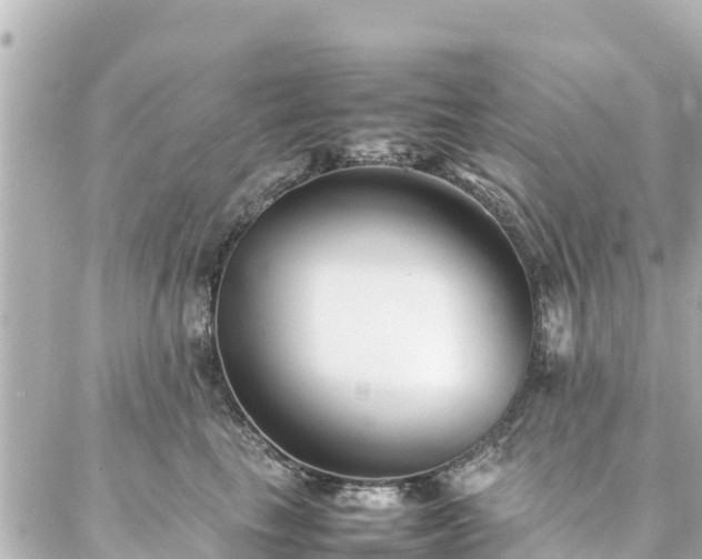 X0000086990665200704231846