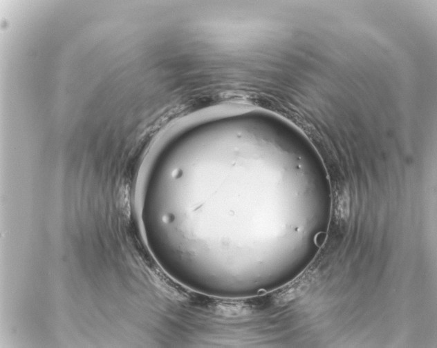 X0000086990666200704231846