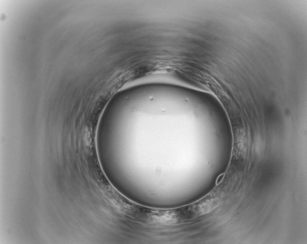 X0000086990667200704231846