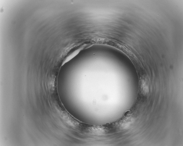 X0000086990668200704231846