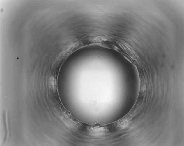 X0000086990669200704231846