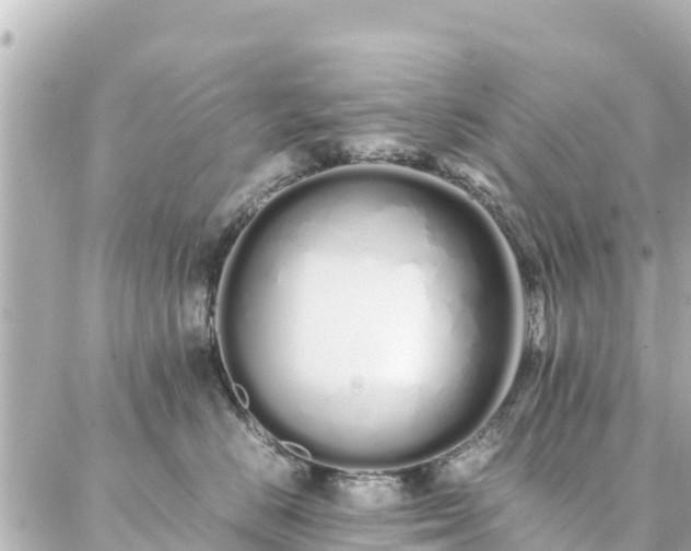 X0000086990670200704231846