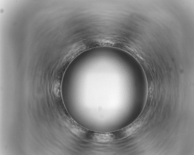 X0000086990671200704231846