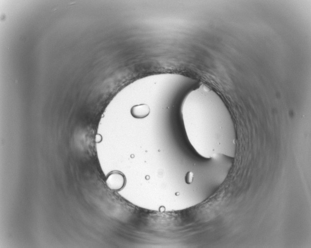 X0000086990672200704231846