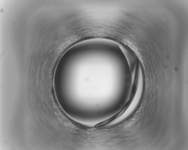 X0000086990673200704231845