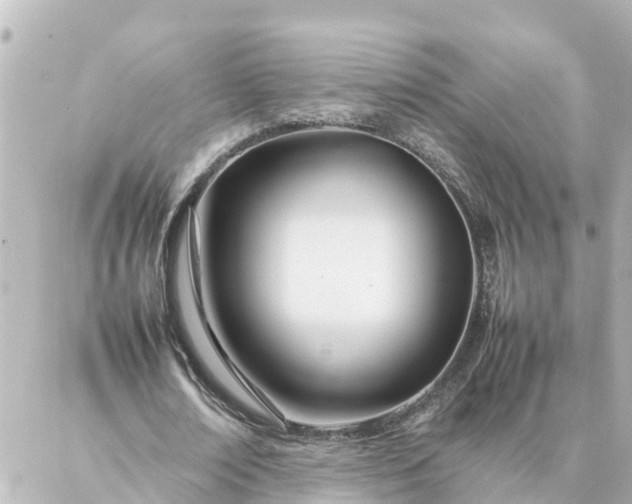 X0000086990674200704231845