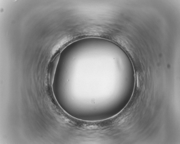 X0000086990675200704231845