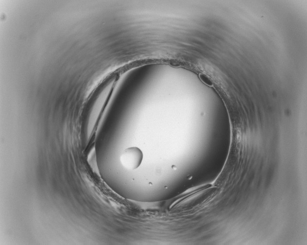 X0000086990676200704231845