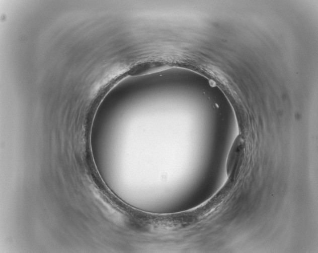 X0000086990677200704231845