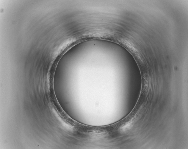 X0000086990678200704231845