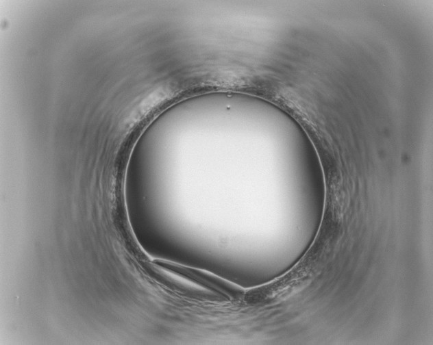 X0000086990679200704231845