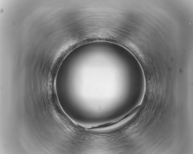 X0000086990680200704231845