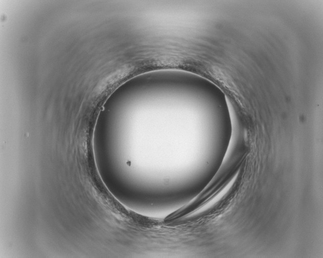 X0000086990681200704231845