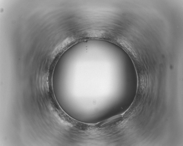 X0000086990682200704231845