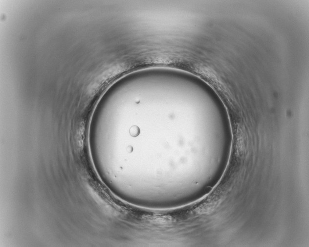 X0000086990683200704231845